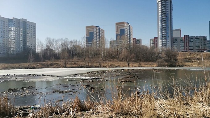 Фото: Александр Соколов / amic.ru