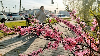 Фото: amic.ru / Екатерина Смолихина