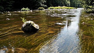 Фото: pixabay.com