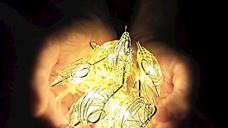 Свет / Фото: amic.ru