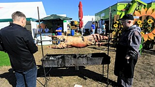 Фото: Екатерина Смолихина / amic.ru