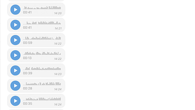 Скриншот из Telegram / amic.ru