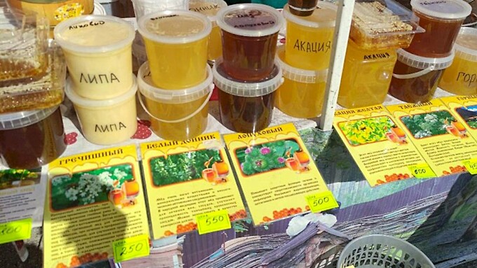 Фото: amic.ru / Екатерина Смолихина