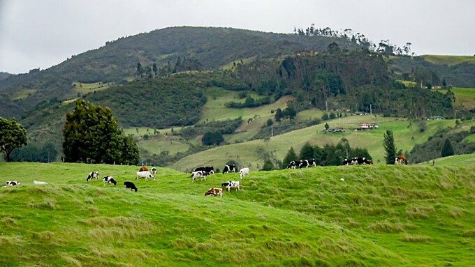 Фото: pixabay.com