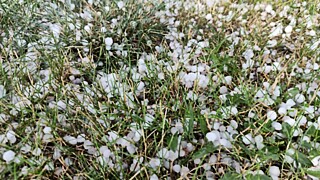 Фото: amic.ru / Екатерина Смолихина