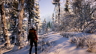 Скриншот из игры Serenity: at the Heart of Altai / serenity-game.ru