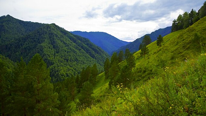 Фото: freepil.com