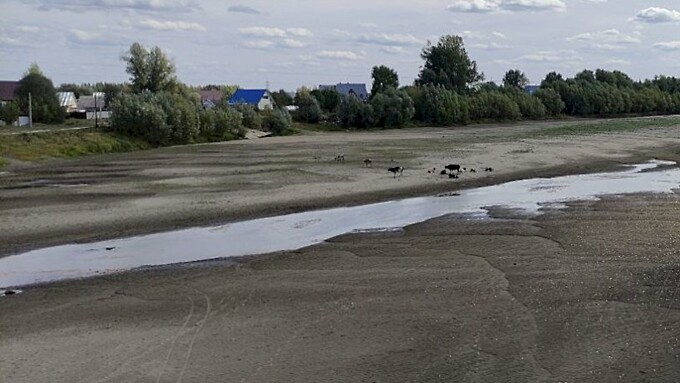 Фото: amic.ru / Екатерина Смолихина