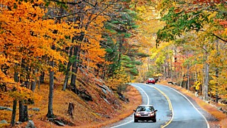 Фото: pixabay.com