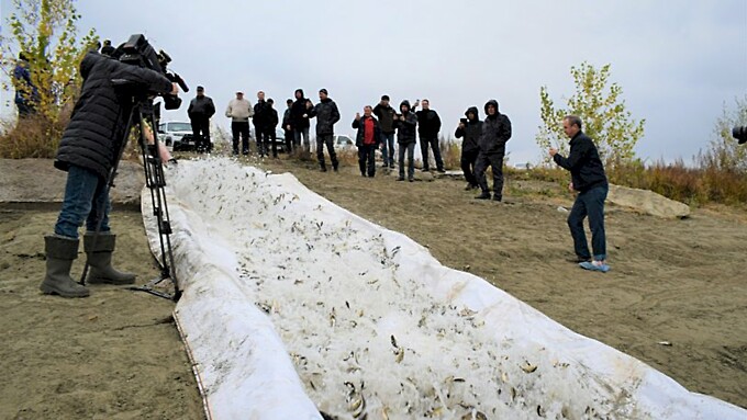 Фото: пресс-служба «Росводоканал Барнаул»