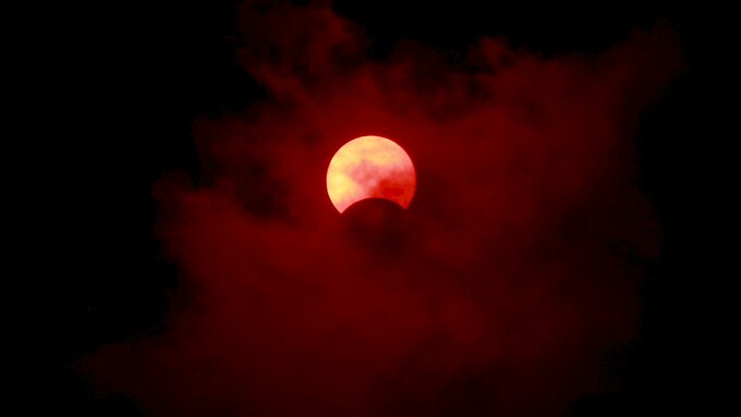 Фото: amic.ru / Екатерина Смолихина