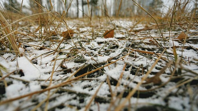 Фото: amic.ru / Екатерина Смолихина