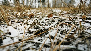 Фото: amic.ru / Екатерина Смолихина