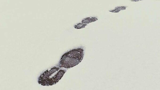 Фото: amic.ru