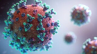 Фото: unsplash.com