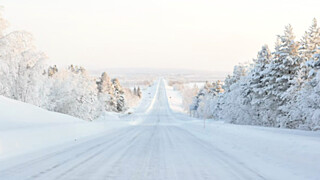 Фото: unsplash.com