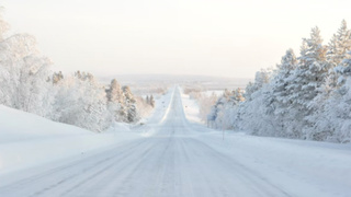 Фото: unsplash.com