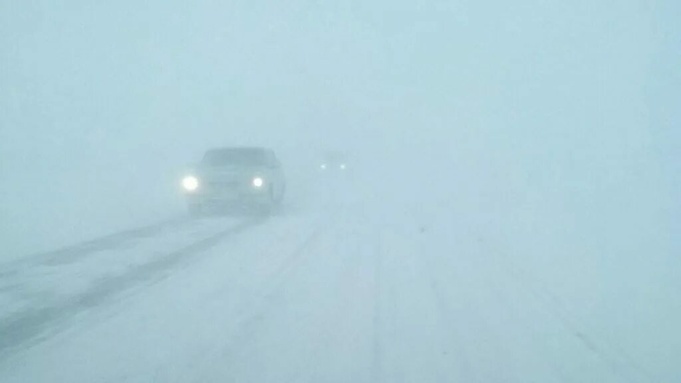 Фото: страница Антона Воронова "Вконтакте"