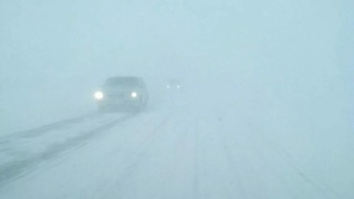 Фото: страница Антона Воронова 