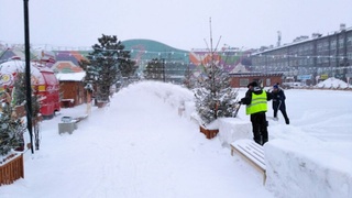Уборка снега в Барнауле/ Фото: amic.ru