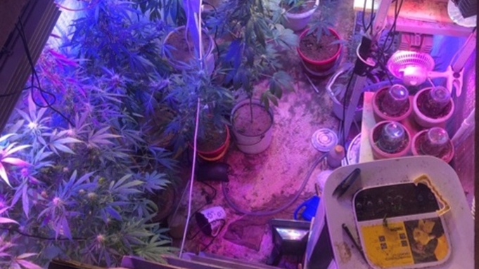 Фото с места преступления/ Фото: ГУ МВД по Алтайскому краю