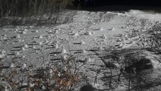 Фото: vk.com/biysk_moy_gorod