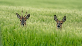 Фото: https: unsplash.com