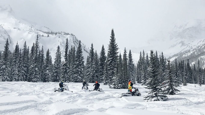 Фото: unsplash.com