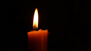 Фото: unsplash.com