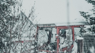 Фото: unsplash.com