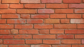 Фото: unsplash.com