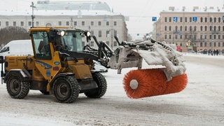 Фото: unsplash.com