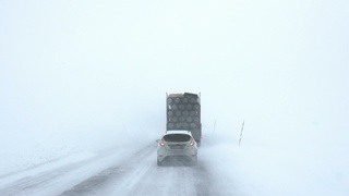 Фото: unsplash.com