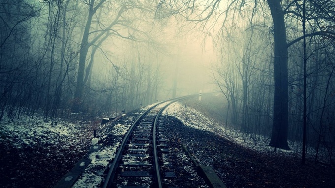 Фото: unsplash.com