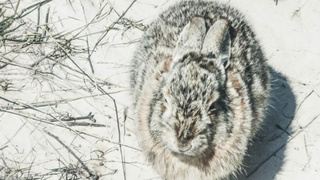 Фото: unsplash.com