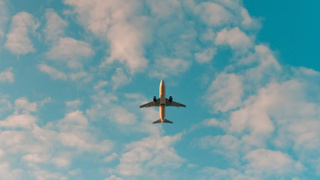 Фото: unsplash.com