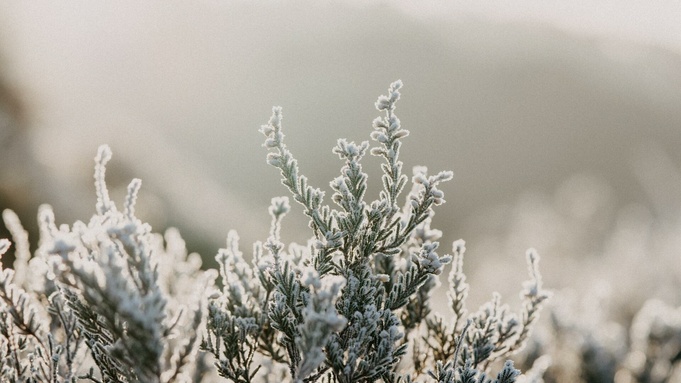 Фото: unsplash.com