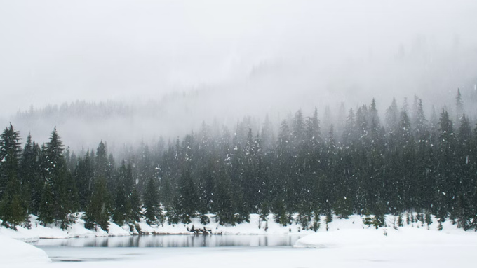 Фото: unsplash.com