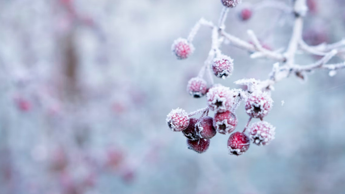 Фото: unsplash.com