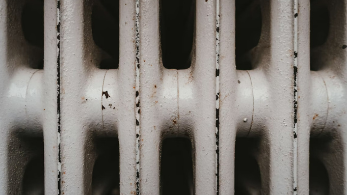 Фото: unsplash.com