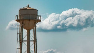 Фото: unsplash.com