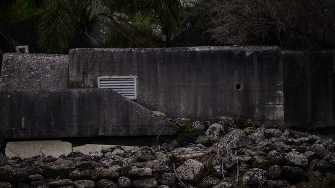 Фото: unsplash.com