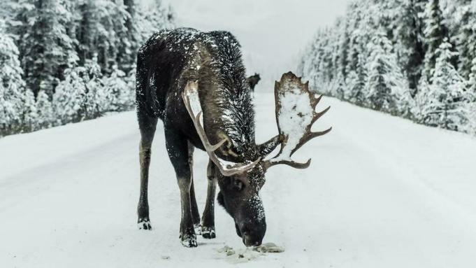 Фото: unsplash.com