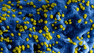 Фото: unsplash.com