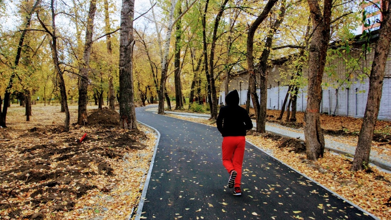 Парк / Фото: Екатерина Смолихина / amic.ru