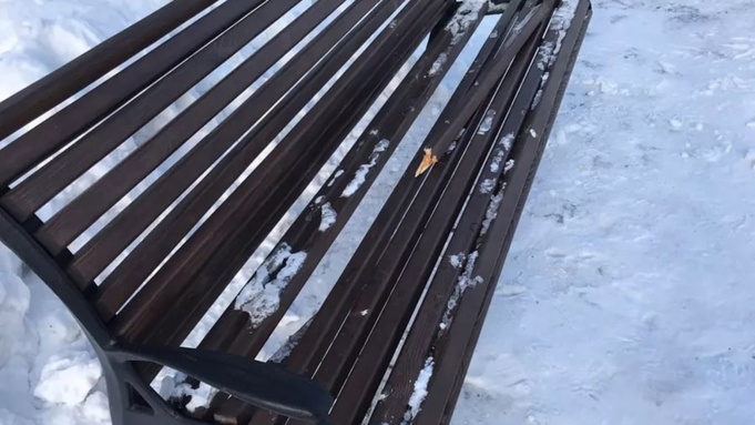 Фото: "Бийск"