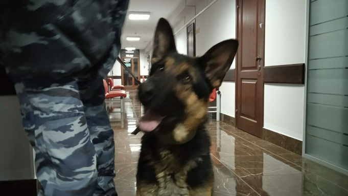 Фото: t.me/pressusd42