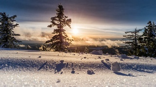 Фото: unsplash.com
