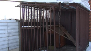 Кадр из видео