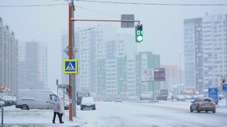 Светофор в Барнауле / Фото: amic.ru